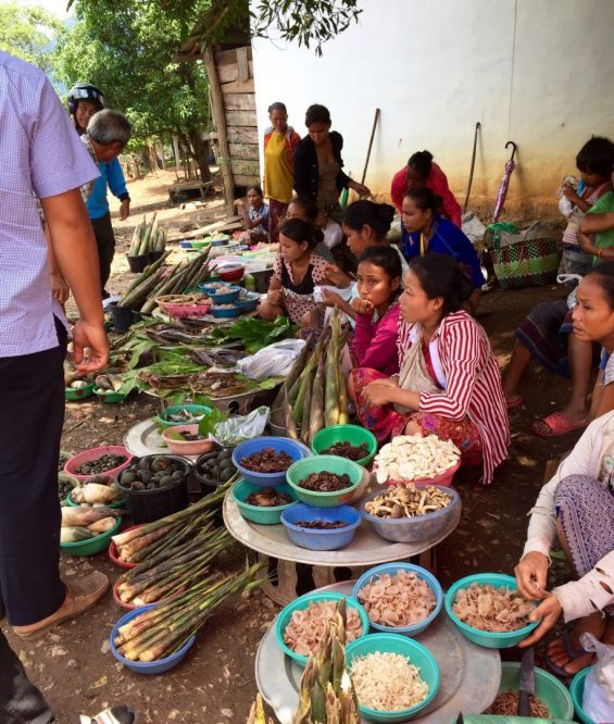 Laos market