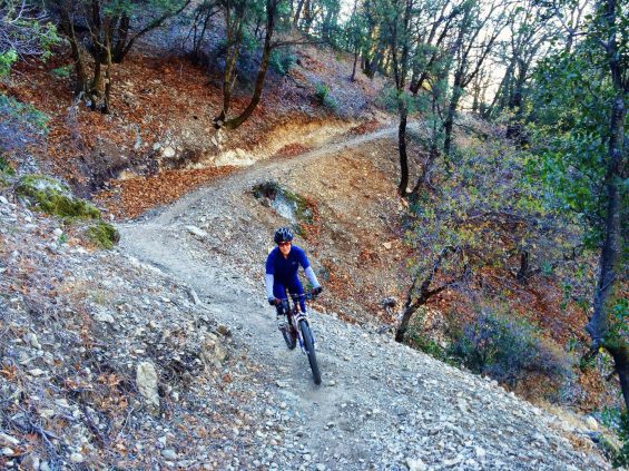 Person biking on trail