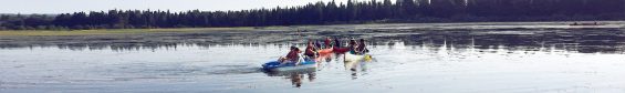 People on kayaks