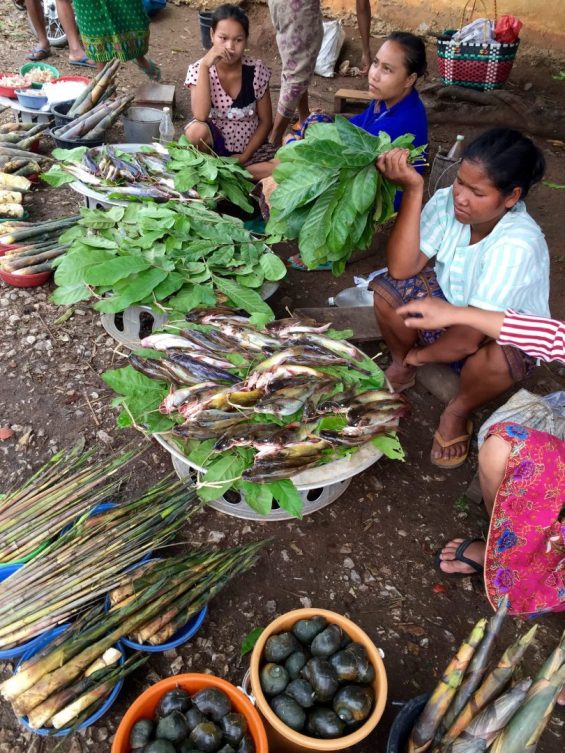 Laos farmers