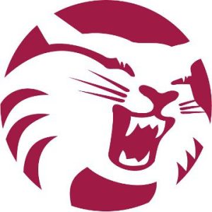 chico-state-sports-logo