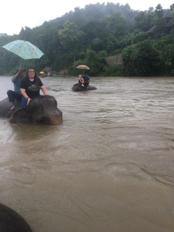 People riding elephants across river in Laos