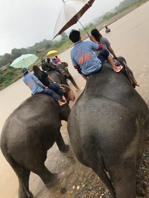 People riding elephants