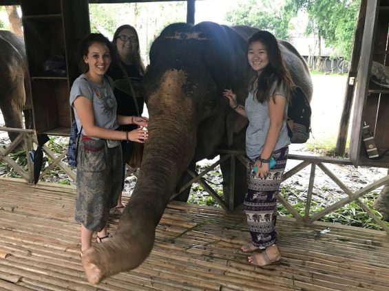 People petting an elephant
