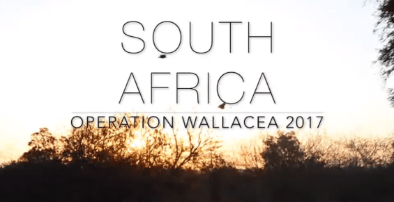 Operation Wallacea 2017 banner