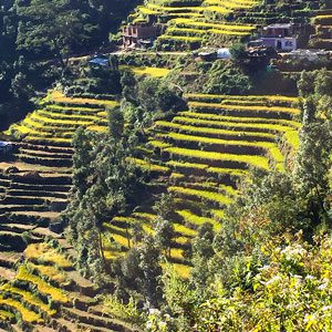 Nepal nature scenery