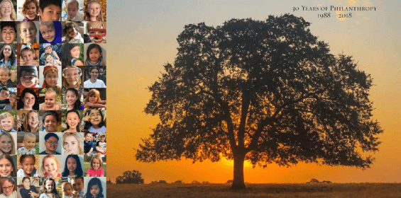 Banner of people around a tree