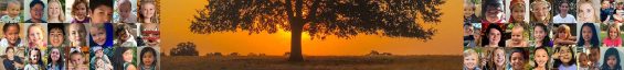 Banner of people around a tree