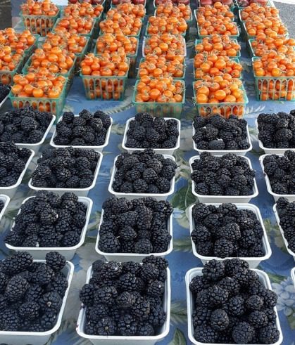 Blackberries and tomatoes