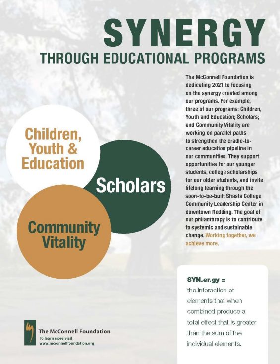 Synergy Through Educational Programs banner