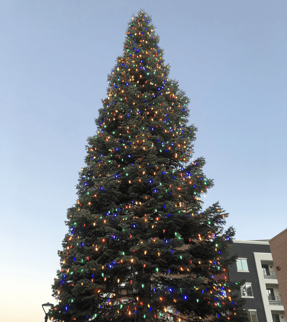 Downtown Holiday Tree Lighting Tradition Goes Virtual [Enjoy Magazine]