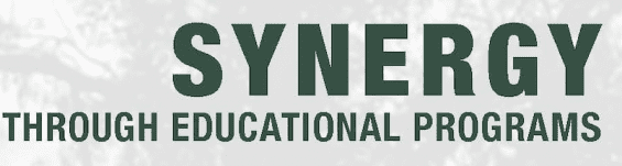 Synergy Through Educational Programs banner