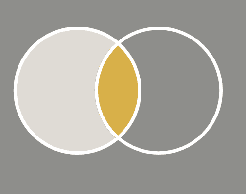 Synergy: Community Vitality + Educational Programs