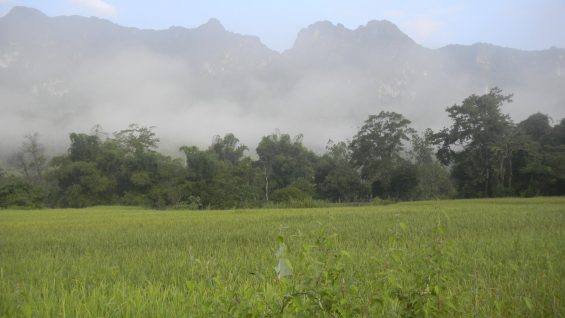 Field with mountains behind it