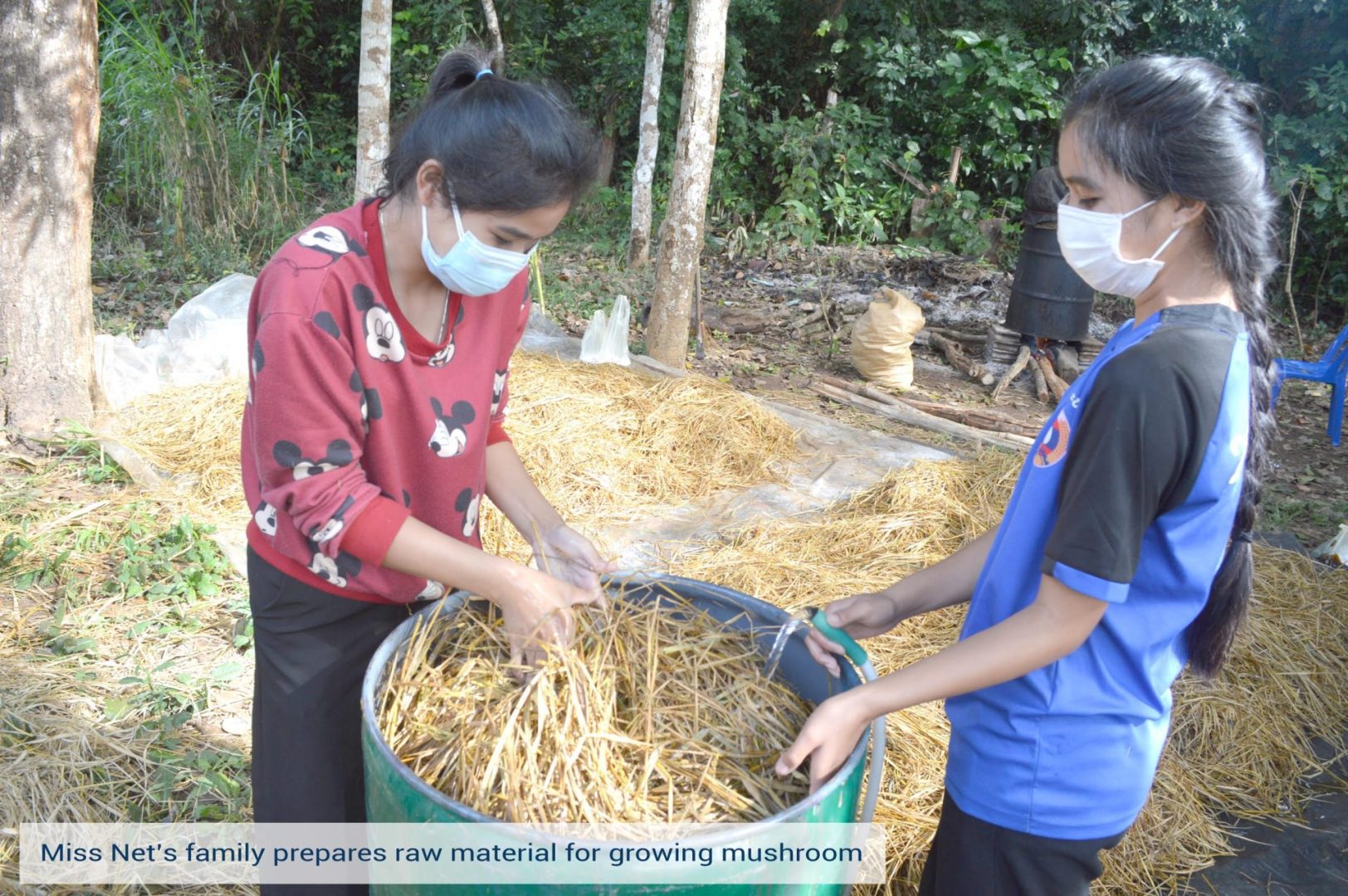 Miss. Net's family prepares raw material for growing mushrooms