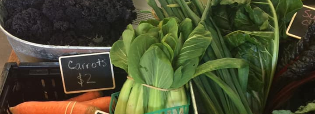 At the Labs: Fresh Produce from Field to Fork LLC