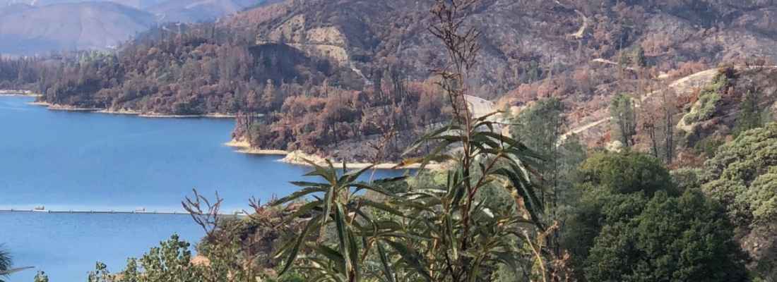 Sonoma County Housing visits Redding to Learn about Mixed-Use Development Downtown, Tour Carr Fire Areas