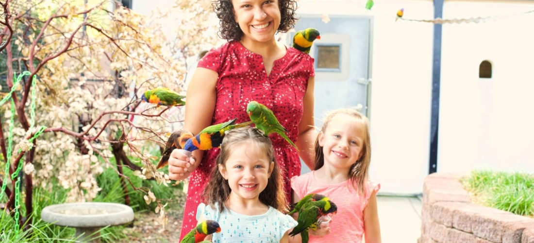 Turtle Bay Exploration Park