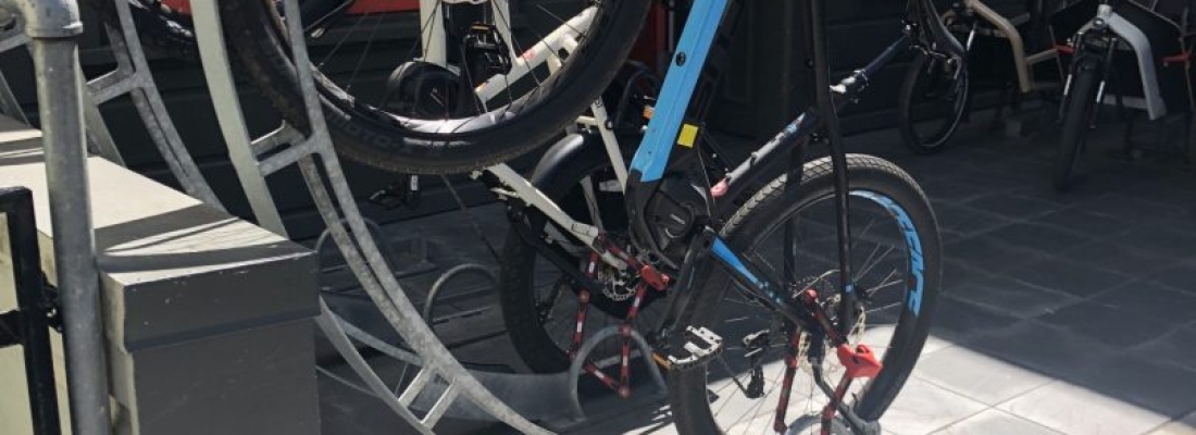 Field Trip to Learn About Bike-Friendly Cafes