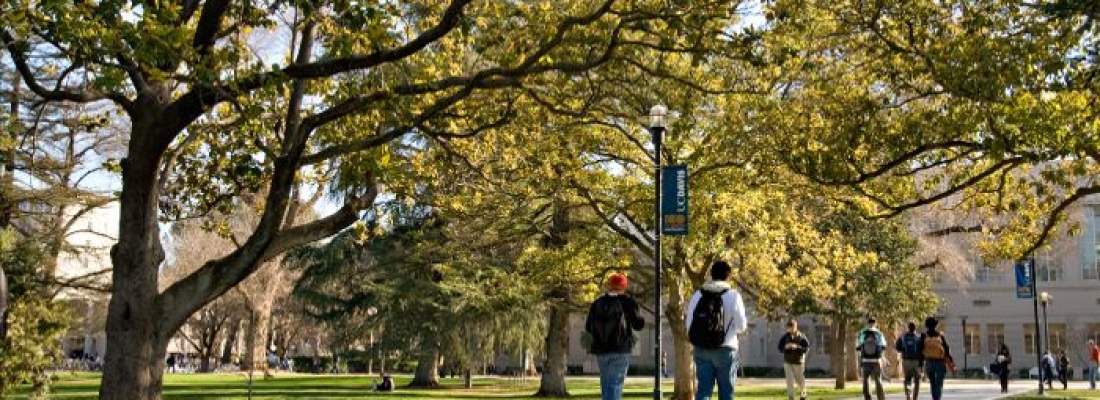 How Do You Know if You’re Doing Well at College?