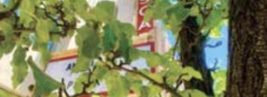 Shade Trees in Downtown Redding [Enjoy Magazine]