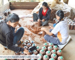 Mushroom farming opens new opportunities