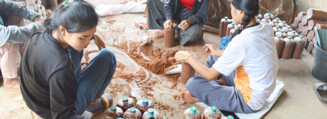 Mushroom farming opens new opportunities